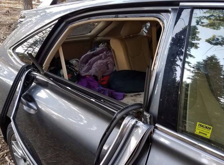 Wildlife officials remind vigilance as bears break into cars, homes