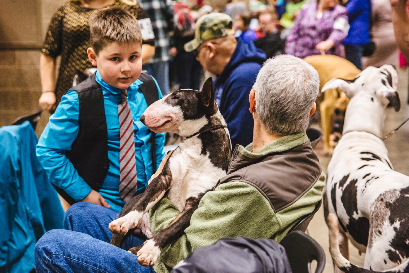 Photos The Seattle Dog Show Is Everything You Need Right Now (And More) Seattle Refined