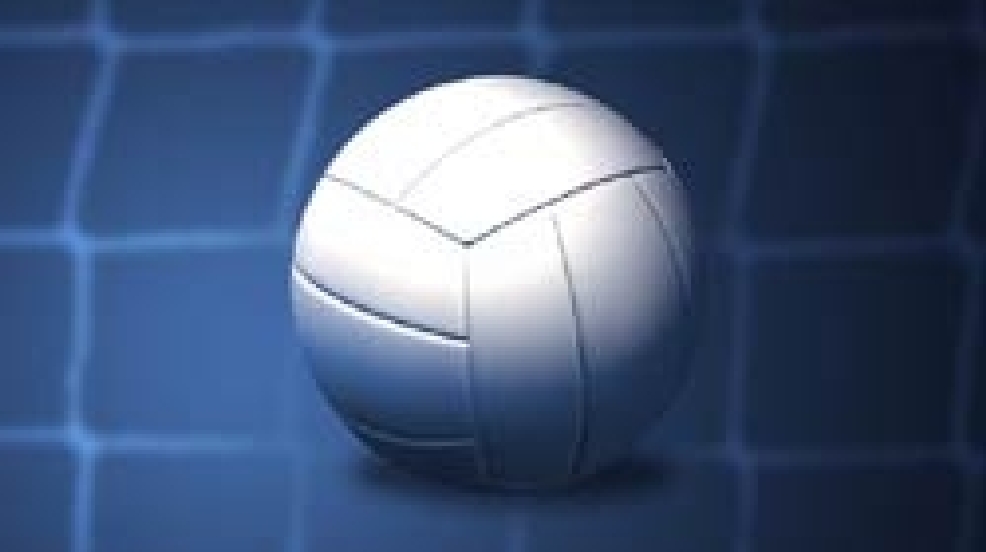 volleyball.jpg