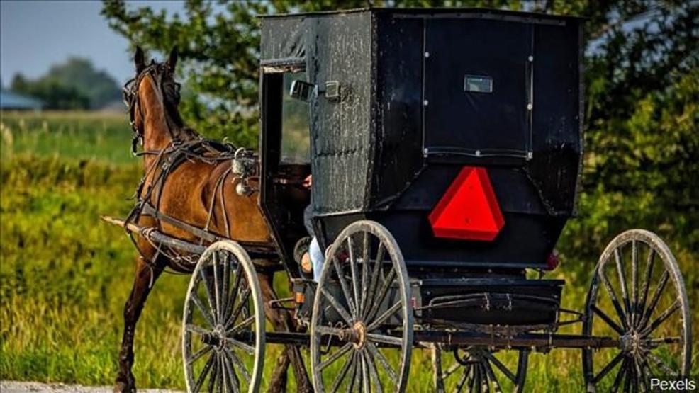 SE Iowa Amish brothers charged with multiple sex crimes in Missouri KTVO