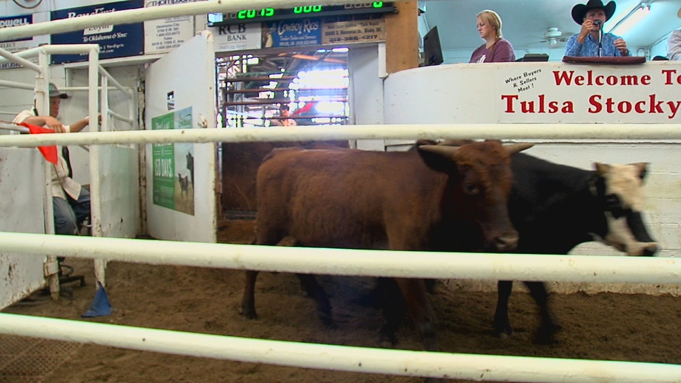 Stockyard sees livestock prices at a low point KTUL
