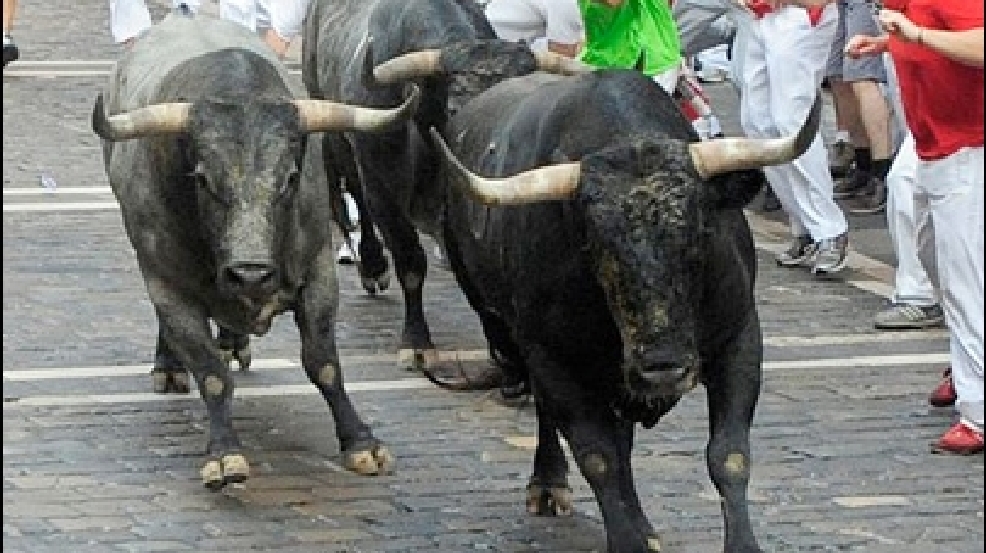 130708_running_bulls.jpg