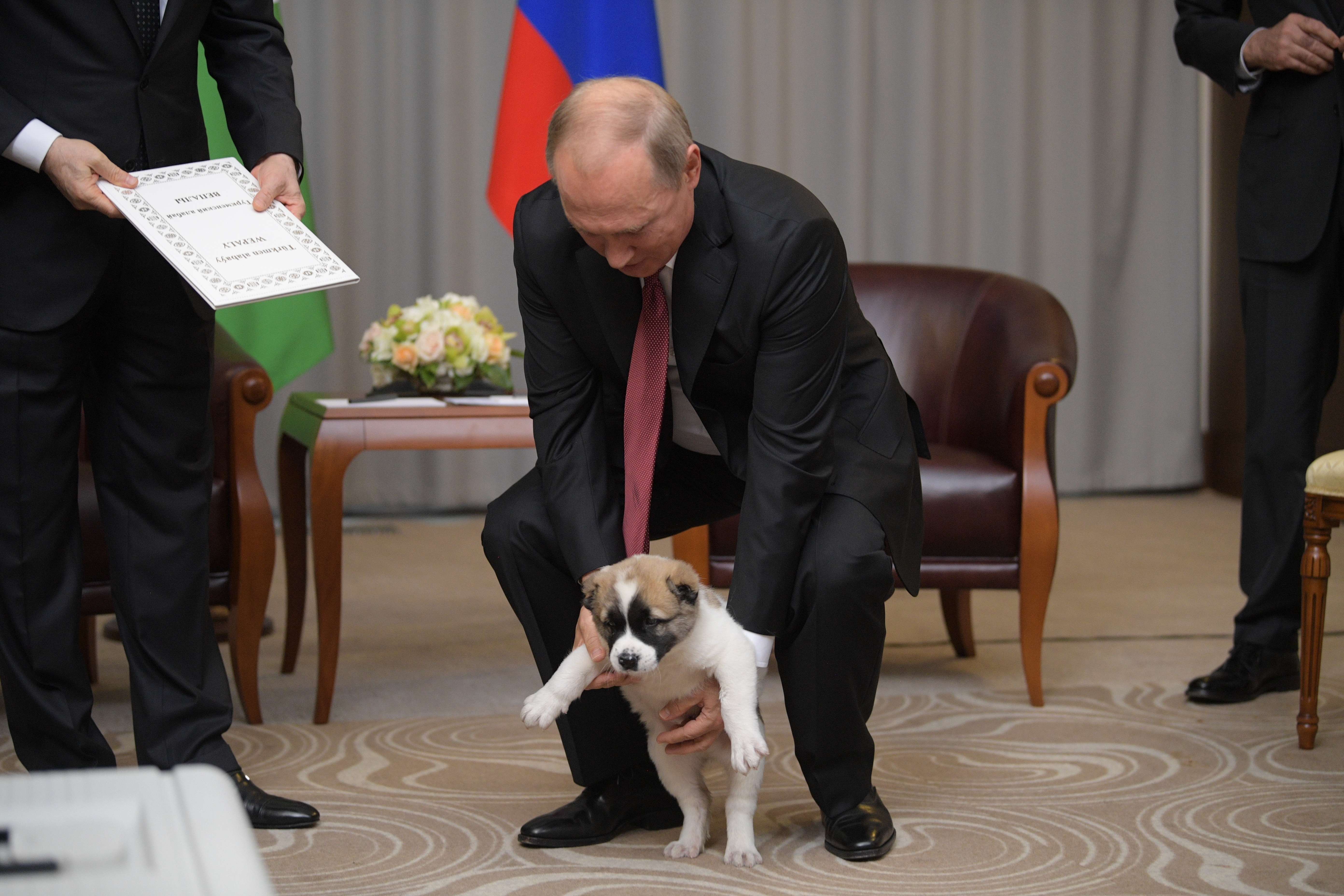 Putin's puppy: Russia's dog-loving leader gets a furry gift | KUTV