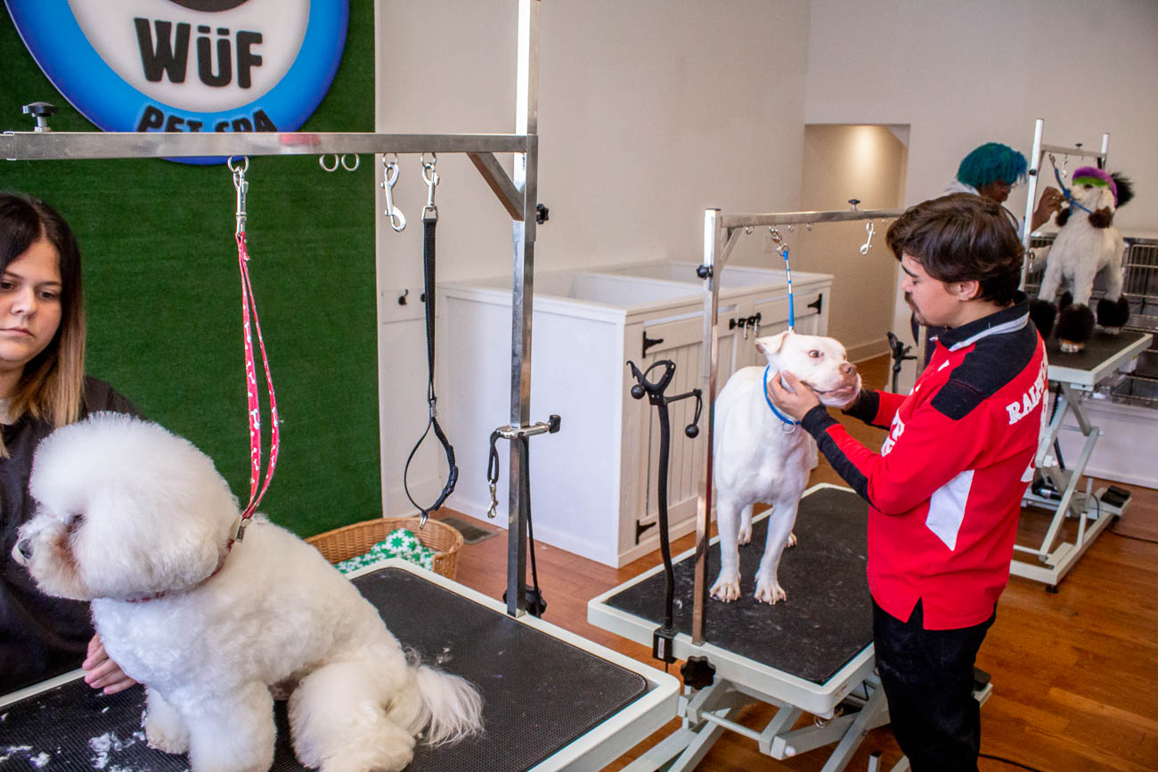 A Spa Day in This OTR Grooming Salon Would Have Any Tail Wagging