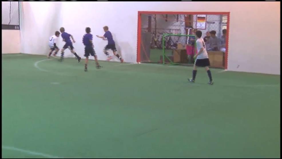 United States Indoor Sports Association