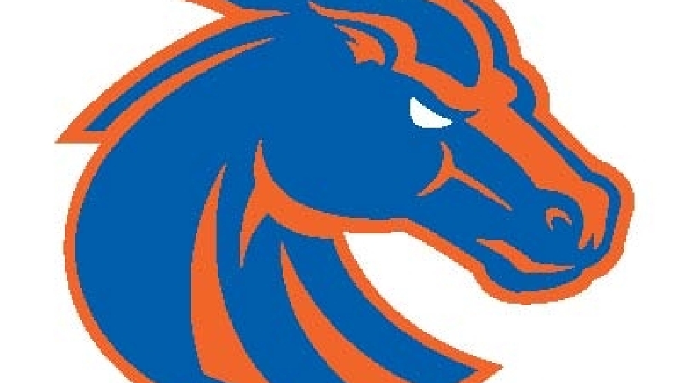 New BSU Logo 400 400.jpg