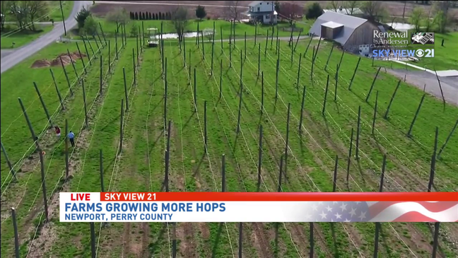 SkyView 21 | Aerial view of a hop farm in Perry County