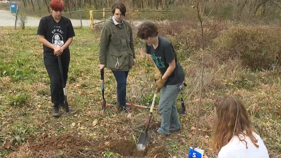 High school students battle climate change by giving back to Mountain Creek habitat - WTVC