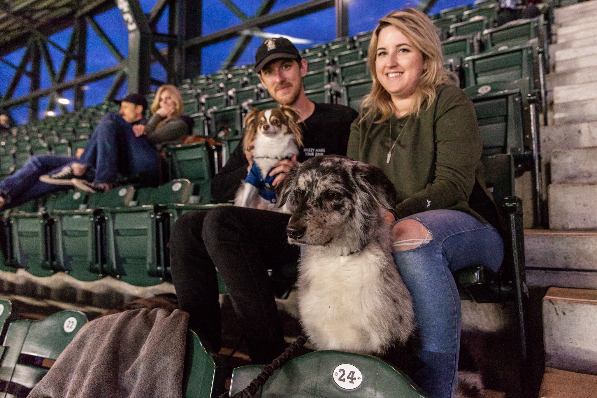 Photos Dogs steal the spotlight at Mariners' first Bark at the Park of