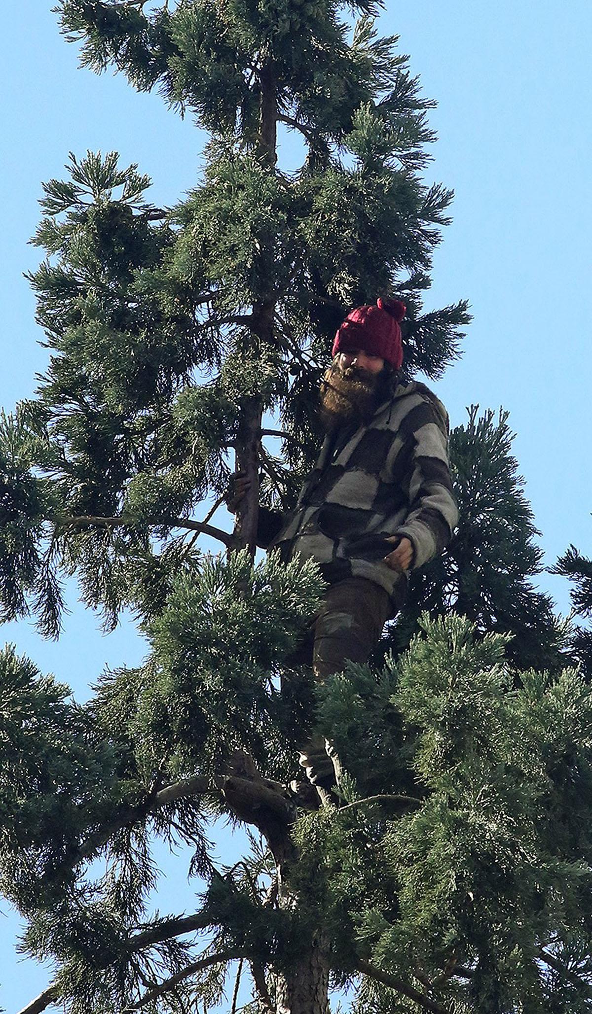 A man stands in an 80-foot tall tree in downtown Seattle, Tuesday, March 22, 2016, after he climbed nearly to the top, disrupting traffic. Police say when authorities arrived, the man refused to speak with them and threw an apple at medics. (Greg Gilbert/The Seattle Times via AP) SEATTLE OUT; USA TODAY OUT; MAGS OUT; TELEVISION OUT; NO SALES; MANDATORY CREDIT TO BOTH THE SEATTLE TIMES AND THE PHOTOGRAPHER