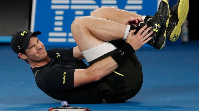 Murray, Federer advance to 3rd round at Australian Open 