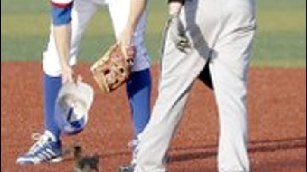 130501_wsu_squirrel.jpg