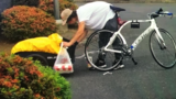 Eugene Police looking for bike stolen in Coburg Road area