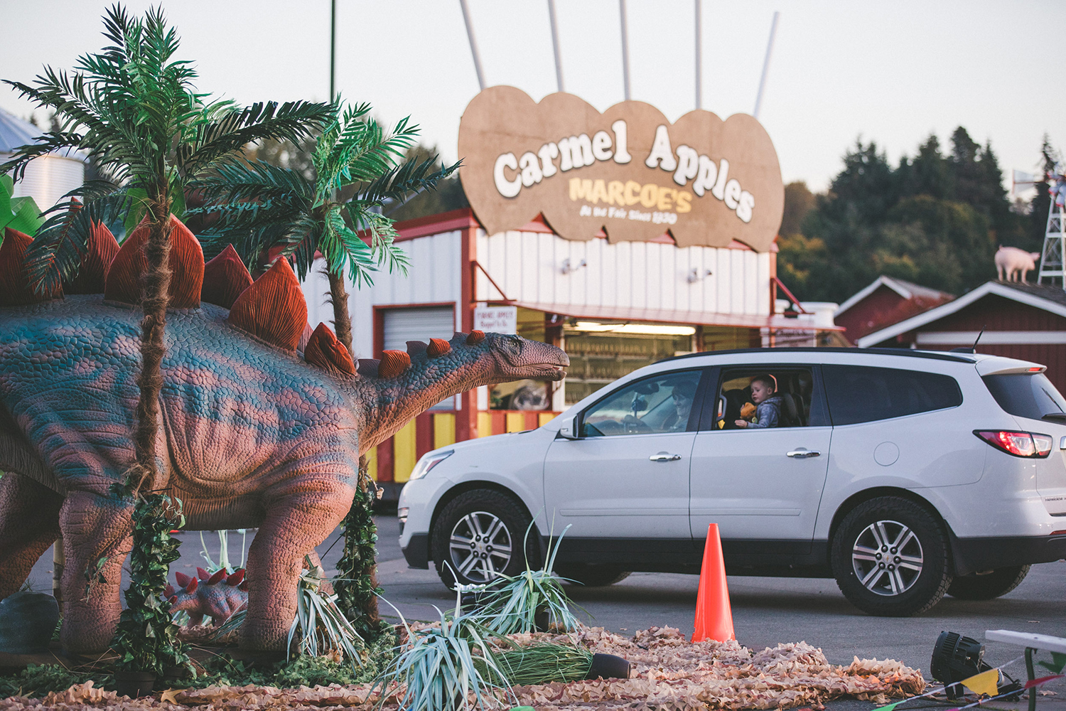 dinosaur fair