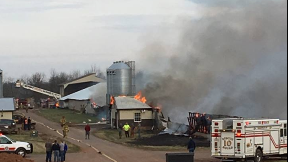 Over 9,000 turkeys die in barn fire WBFF