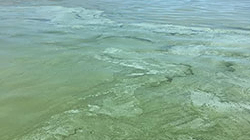 Utah Lake algal bloom causes closure of Oquirrh Lake KUTV