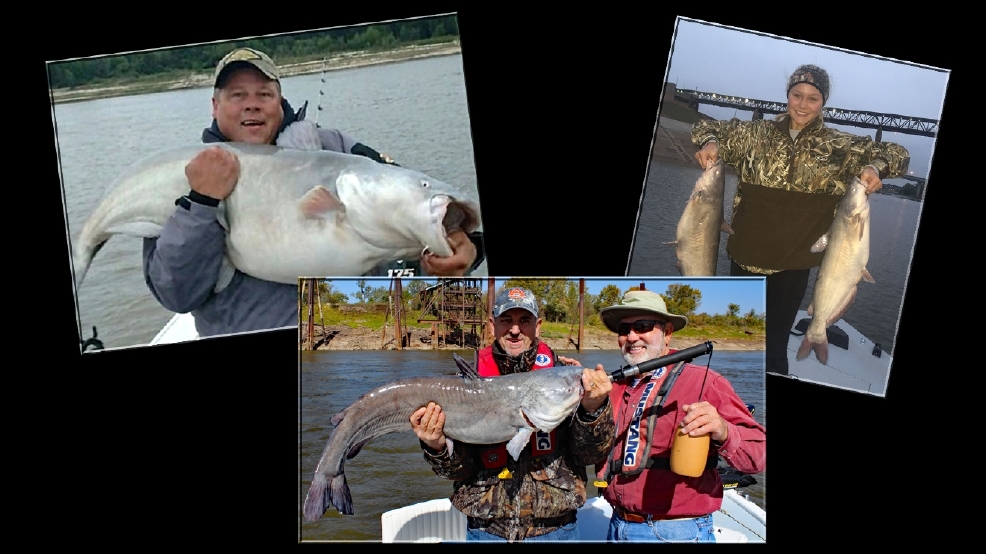 Historic Catfish Tournament in the Making WTVC