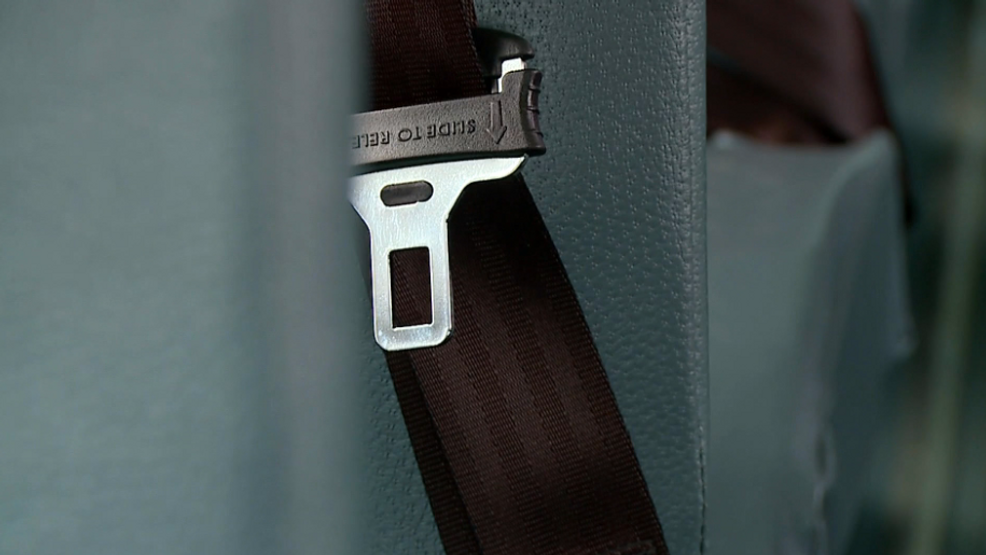 AAA, NY Medical Society push for backseat seat belt law WRGB