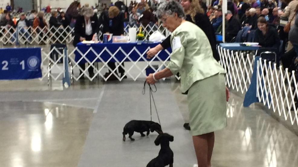 Dog show crowd brings huge revenue to Albany KMTR
