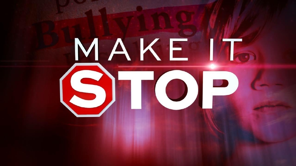 Make It Stop: Cyberbullying pushes some to suicide