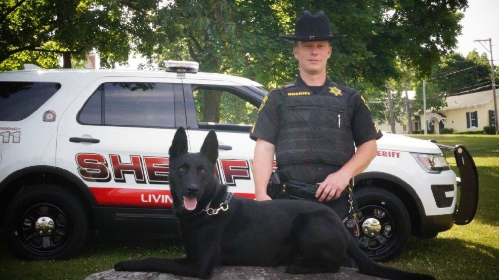 Livingston Co. Sheriff's Office Has A New K9 Addition | WHAM